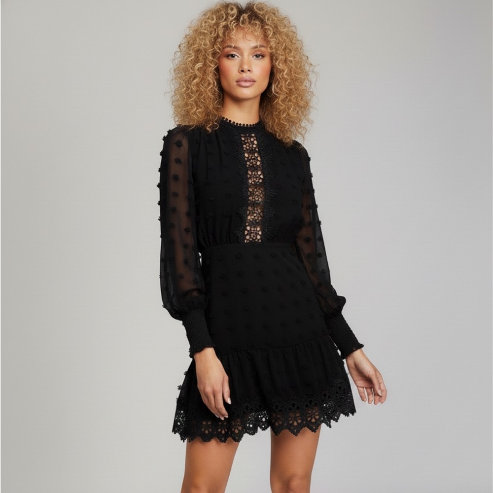 Lulus Black Lace Embroidered Long Sleeve Mini Dress NWT Size M - Picture 15 of 15